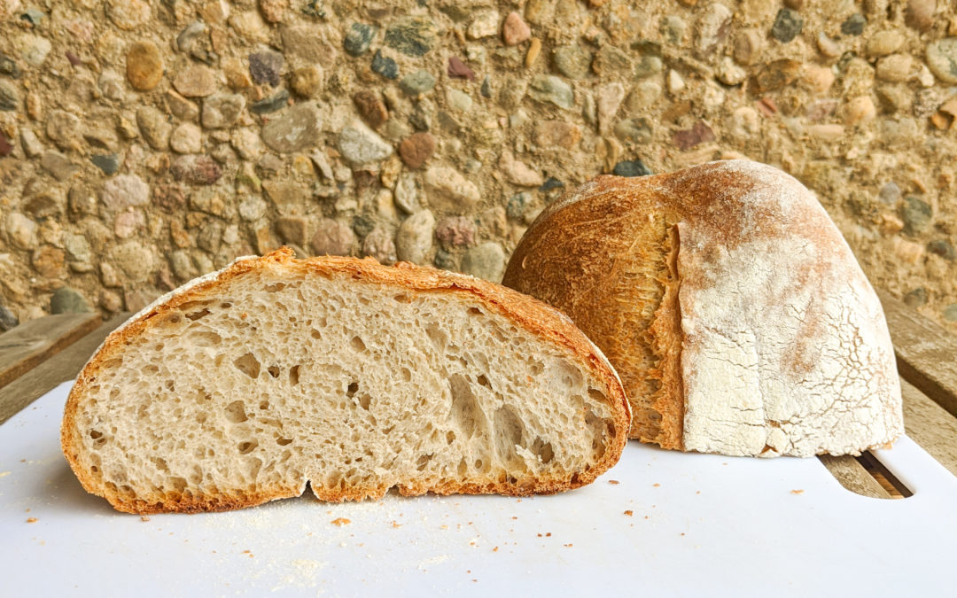 The Essential Steps for Making Bread